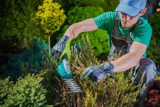 landscaping services Marine City